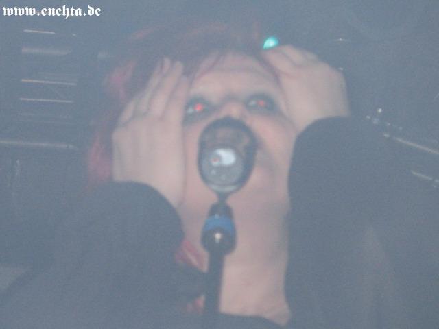 Lame Immotrelle vom 20.02.2008-023.jpg